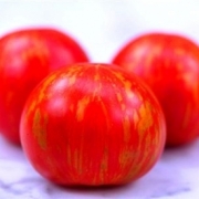 Семена томатов