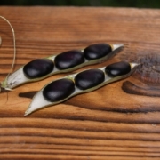 Фасоль и бобы