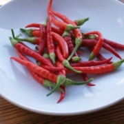 Семена острых перцев (мелкий опт)