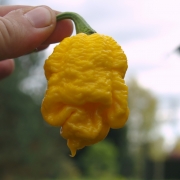 Статус покупателя