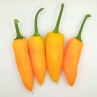 Острый перец Jalapeno Golden