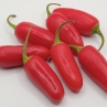 Острый перец Jalapeno Mini (СТАР 4321)
