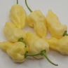 Острый перец Carbonero White