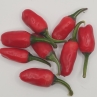 Острый перец Italian Variegata