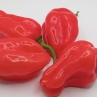 Острый перец Red Dominica Habanero