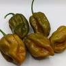 Острый перец Mustard Monster (habanero feno)