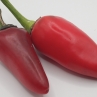 Острый перец Purple Serrano