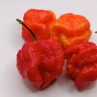Острый перец Moruga Red Monster