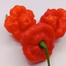 Острый перец Foodorama Scotch Bonnet