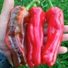 Сладкий перец Pimento Cristal