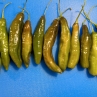 Острый перец Aji Panca Green