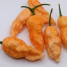 Бхут Джолокия Пич острый перец (Bhut Jolokia Peach)
