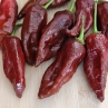 Острый перец Reaper Naga Chocolate