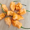 Острый перец Reaper Heat Peach