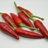 Острый перец Непальский Букет