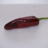 Anaheim Pepper (Острый перец Анахайм)