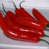 Serrano (Острый перец Серрано)