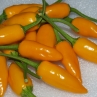 Острый перец Baumchili Orange