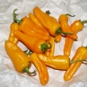 Острый перец Costeno Amarillo