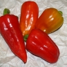 Сладкий перец Ferenec Tender