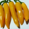 Острый перец Bulgarian Carrot