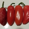 Острый перец Jalapeno NuMex Primavera