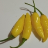 Острый перец Limon