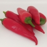 Острый перец Giant Asian Birds Eye Chilli